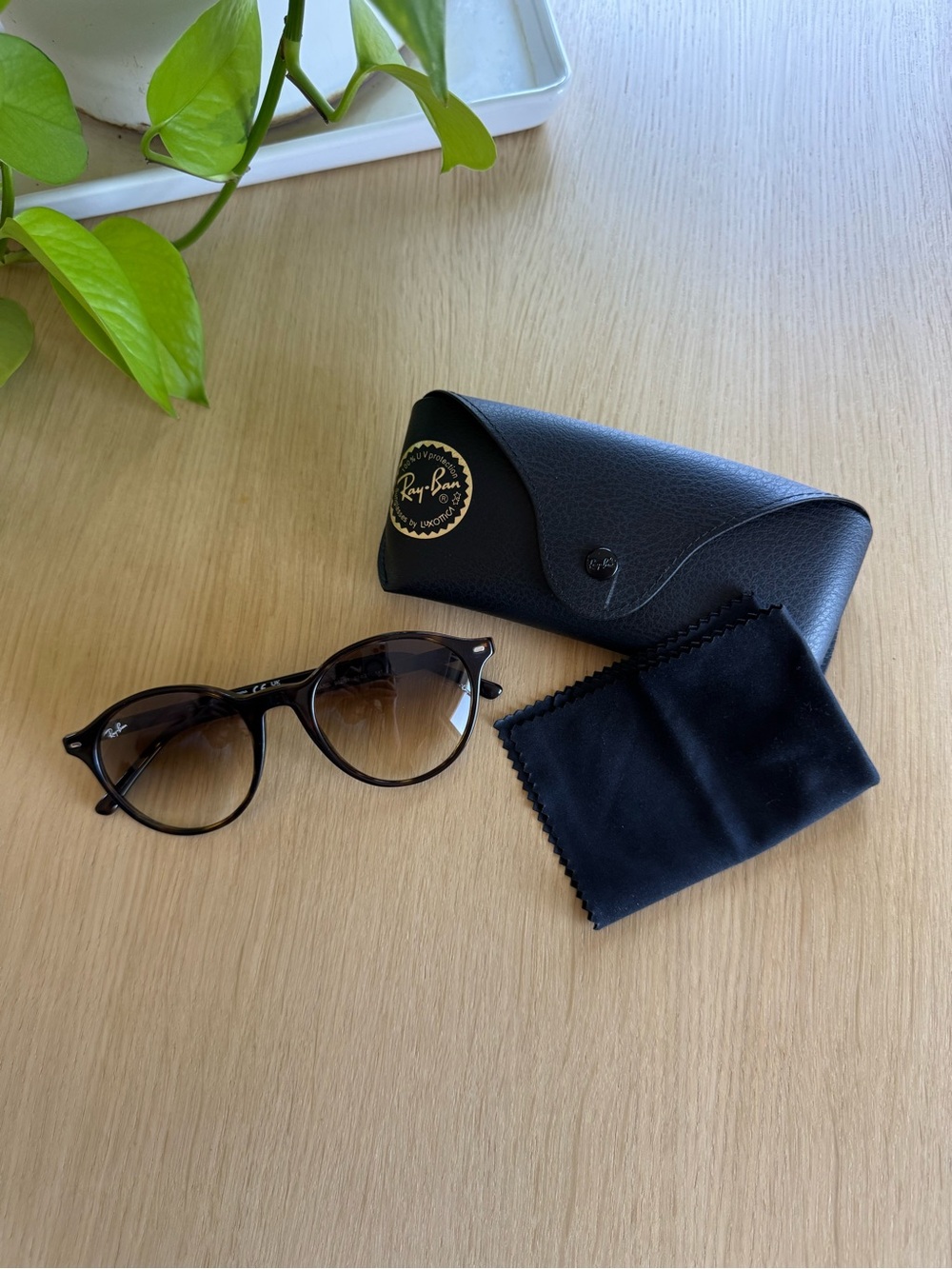 New Elegant Ray-Ban RB2230 Bernard Sunglasses
